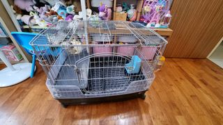 (Category: ) located in . Submitted by mainecoon1 (Listing ID 1274636418, Image 1). Description: .