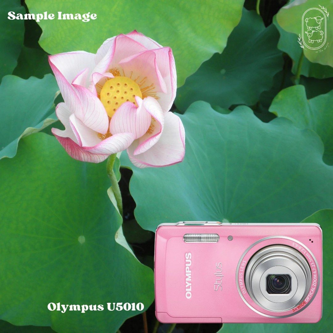 Olympus U5010 Pink (Spotting on Screen), Photography, Cameras on Carousell