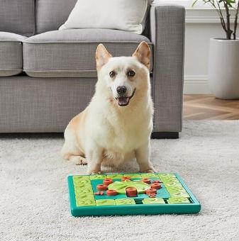 Outward Hound (Nina Ottosson) Multipuzzle InteractiveTreat Puzzle Dog –  Heads Up For Tails