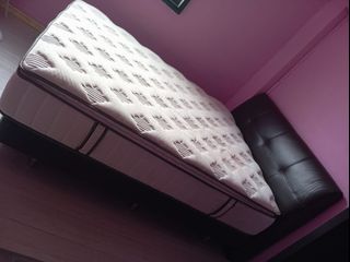 (Category: ) located in . Submitted by cutielina (Listing ID 1274666252, Image 1). Description: .
