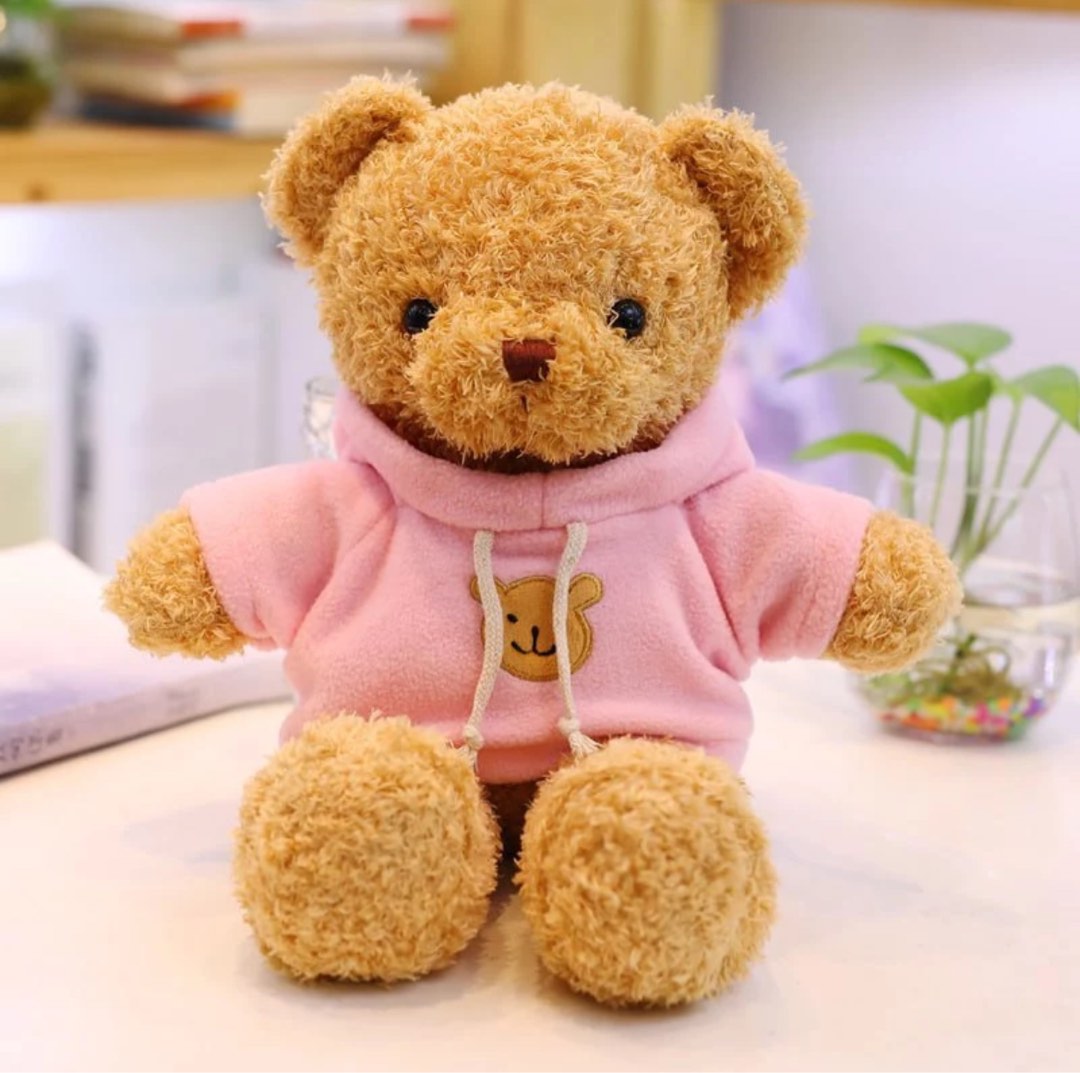 Teddy bear pastel hoodie new arrivals