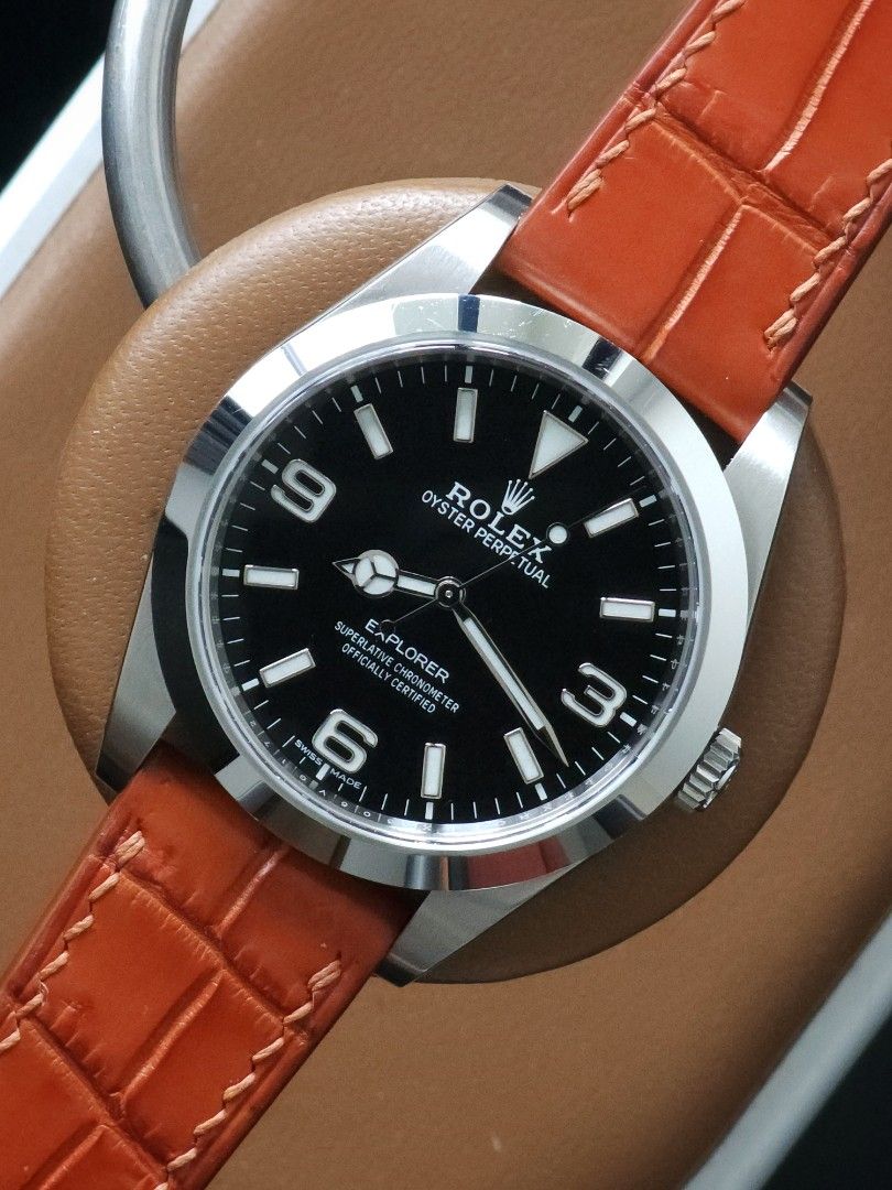 Crocodile explorer watch 2025
