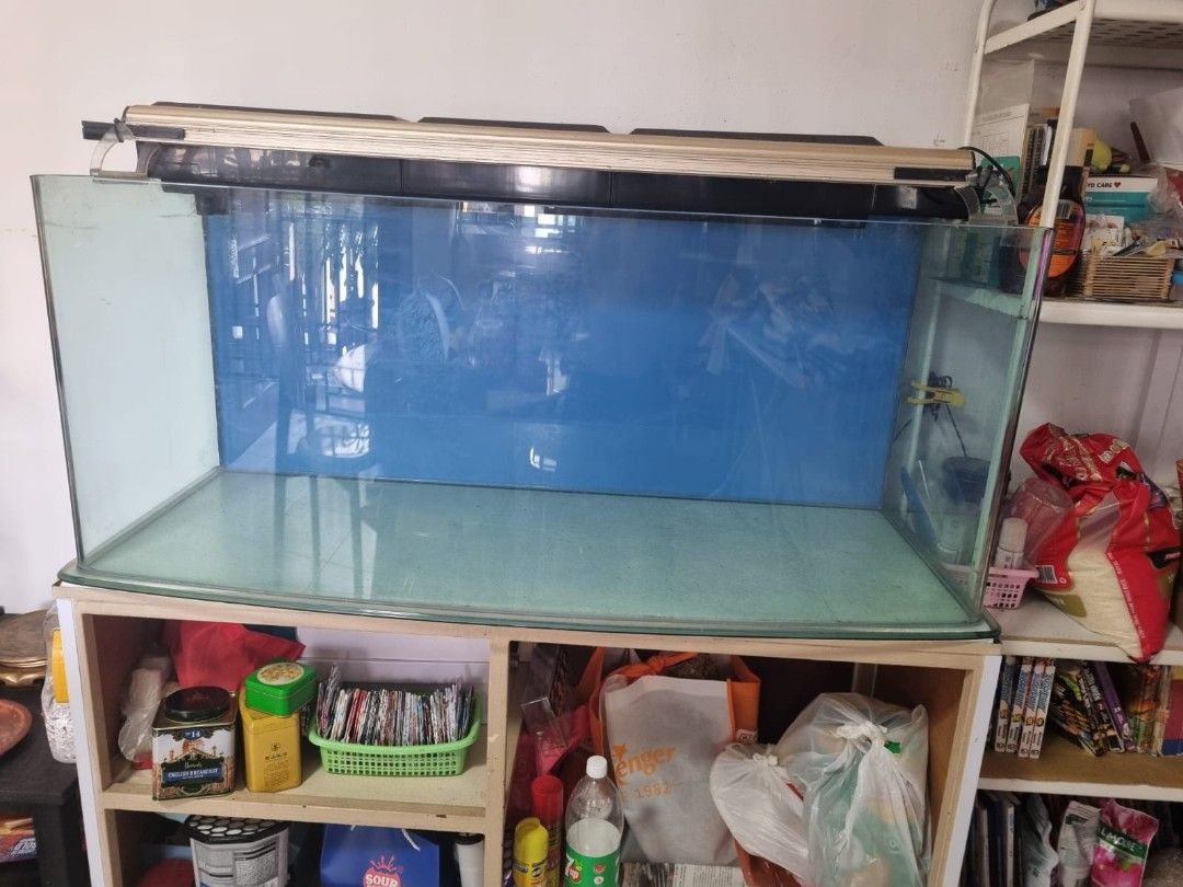 4 feet Fish Tank with Shelf, Pet Supplies, Homes & Other Pet Accessories on Carousell