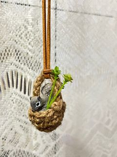 （分類：）位於 。 由 chachaaa.c 提交（商品編號 1275060478，圖片 1）。簡介： 。