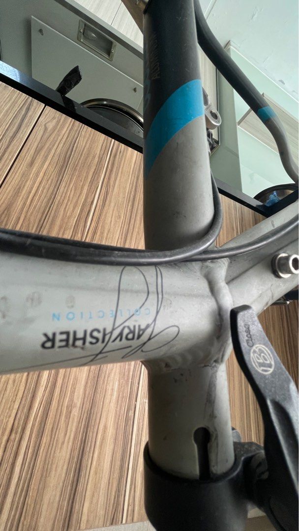 gary fisher tarpon bicycle