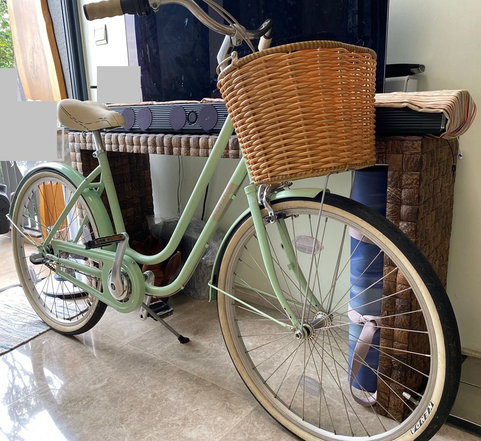 26 inch dutch hotsell bike