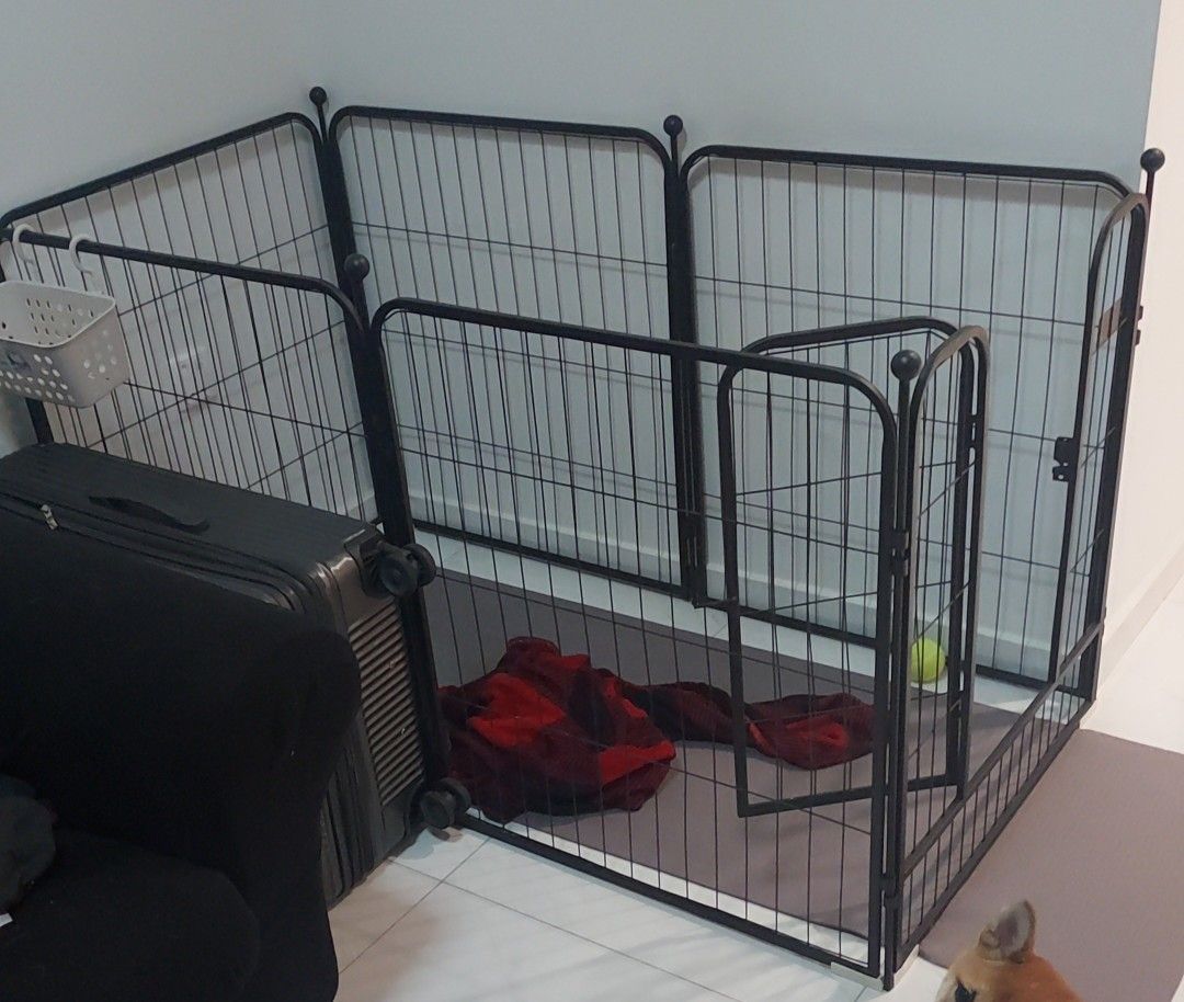 Dog cage Pet Supplies Homes Other Pet Accessories on Carousell