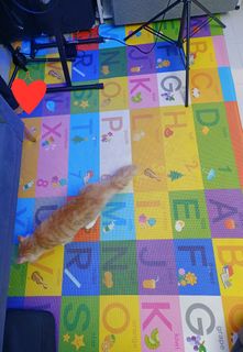 (Category: ) located in . Submitted by marc1ana (Listing ID 1275103392, Image 1). Description: .