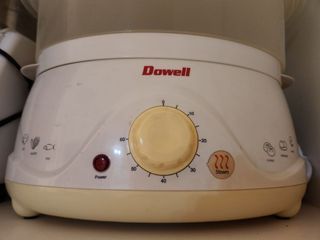 Dowell Steamer