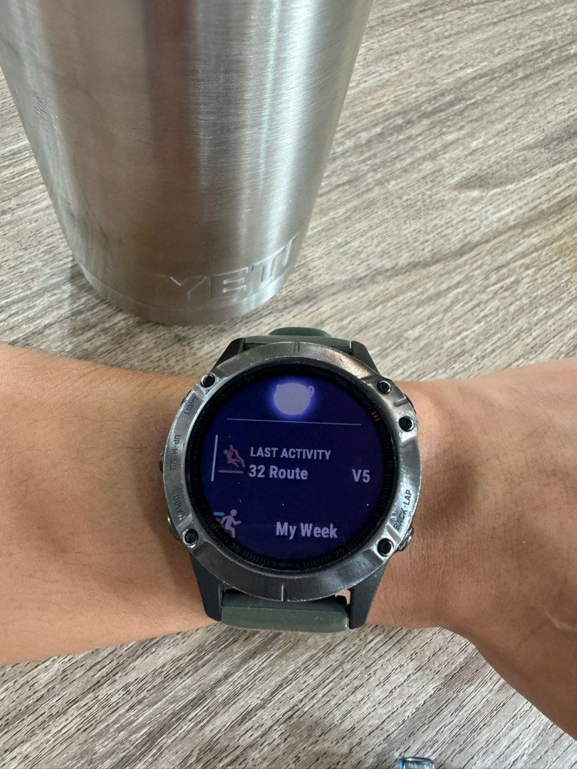 Garmin fenix new arrivals 6s sapphire