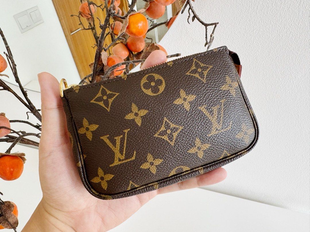 Louis Vuitton LV Mini Pochette Accessoires Pouch Luxury Bags