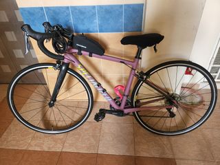 Frame Size Specialized Size 49 Specialized Allez Dusty Lilac