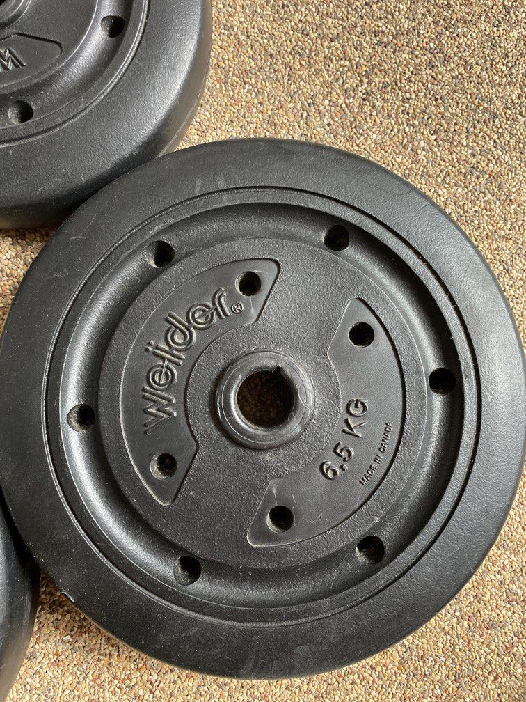 Weider vinyl hotsell weight plates