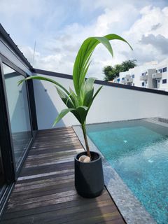 (Category: ) located in . Submitted by karenkhoo (Listing ID 1274724076, Image 1). Description: .