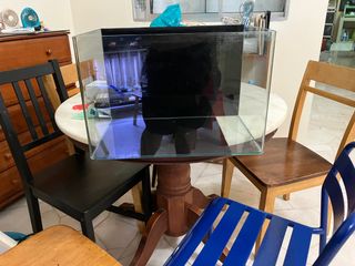 (Category: ) located in . Submitted by li12334 (Listing ID 1269243950, Image 1). Description: .