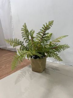 Artificial Plant with clay pot