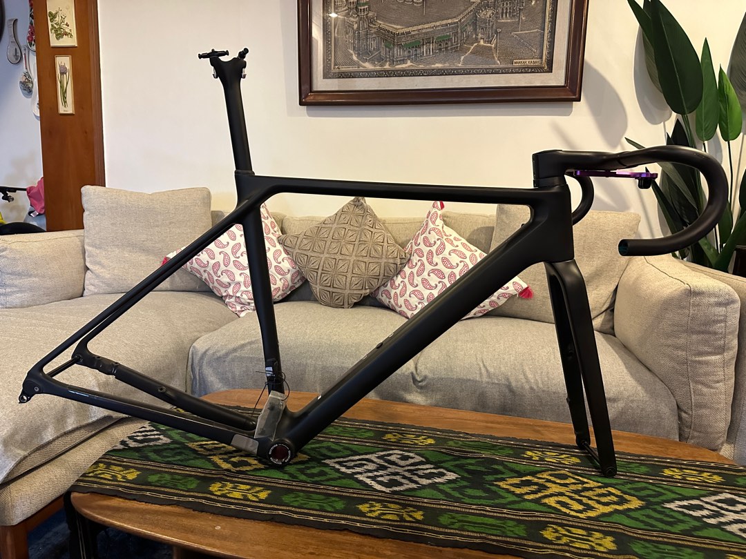 Canyon hotsell evo frameset