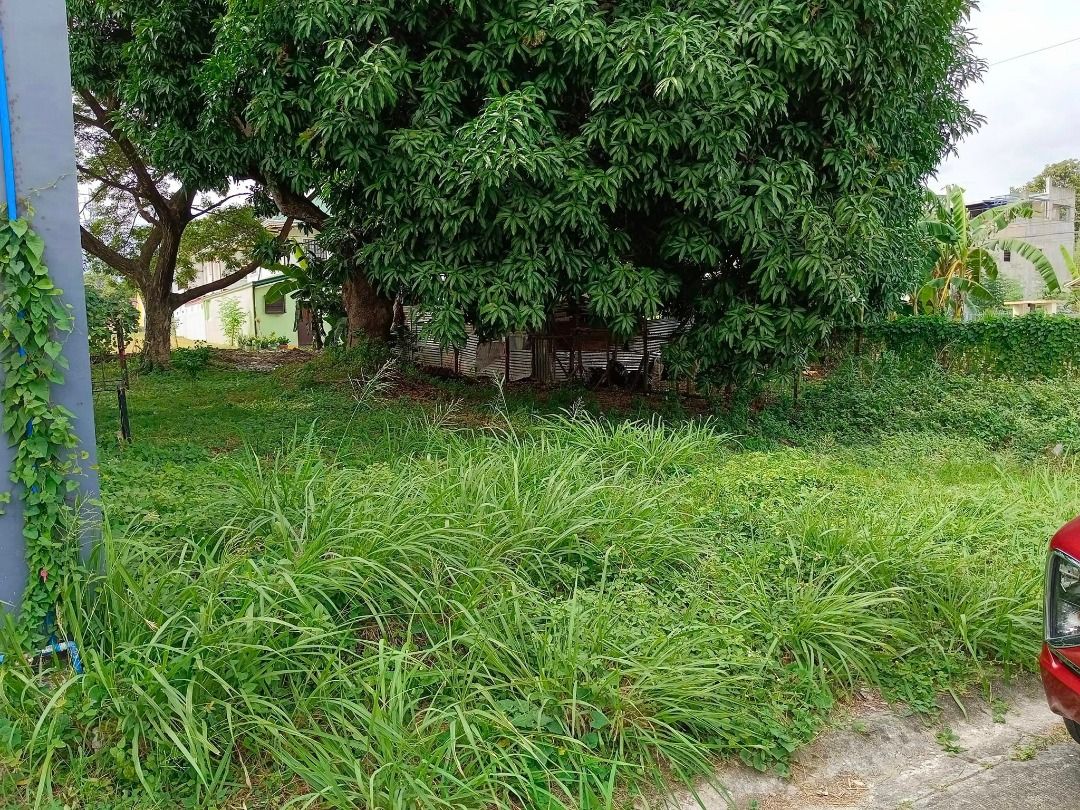 Lot for sale at Garden Grove Village ,Salitran Dasmarinas,Cavite, Property, For Sale, Lot on