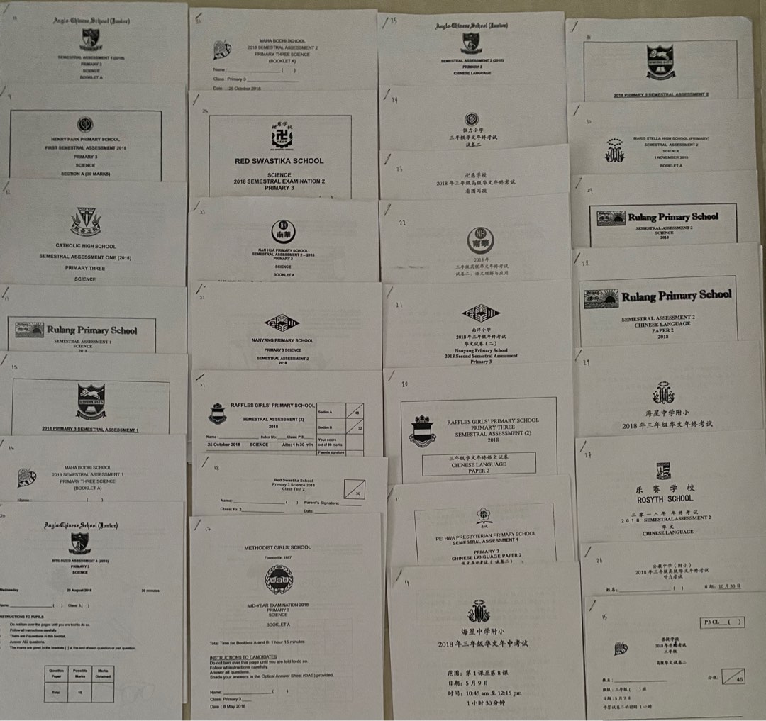 P3 past year exam paper Chinese Science Hobbies Toys Books