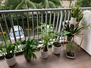 (Category: ) located in . Submitted by karmarn (Listing ID 1269182425, Image 1). Description: .