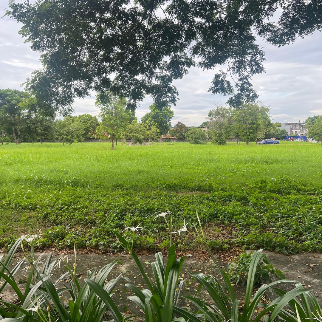 Residential Vacant Lot for sale in Stonecrest Subdivision, San Pedro