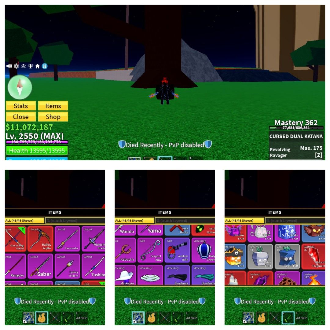 Blox fruit account for sale 5 permanent fruits + Human race v4 ( touch and  go only )