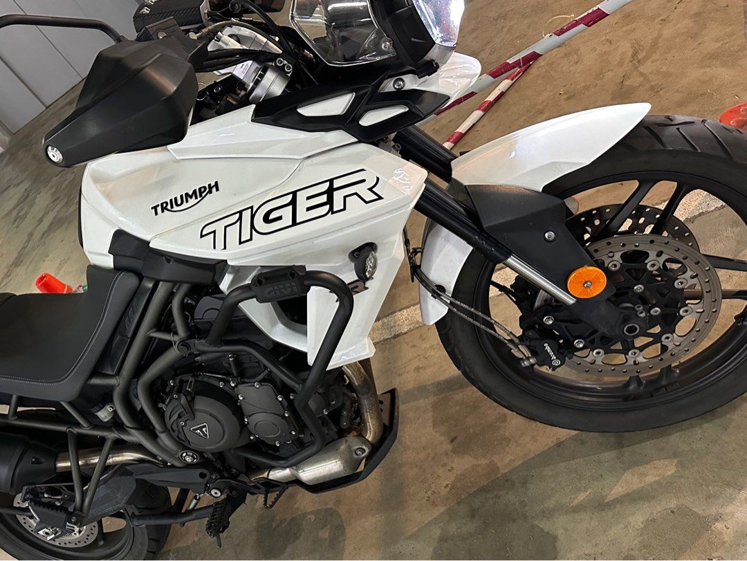 Tiger shop xrx 2019