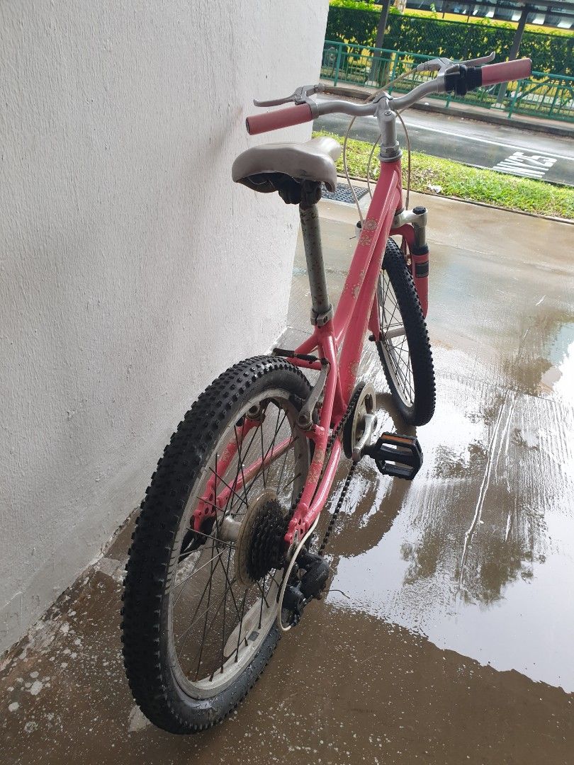 Trek baby bike online