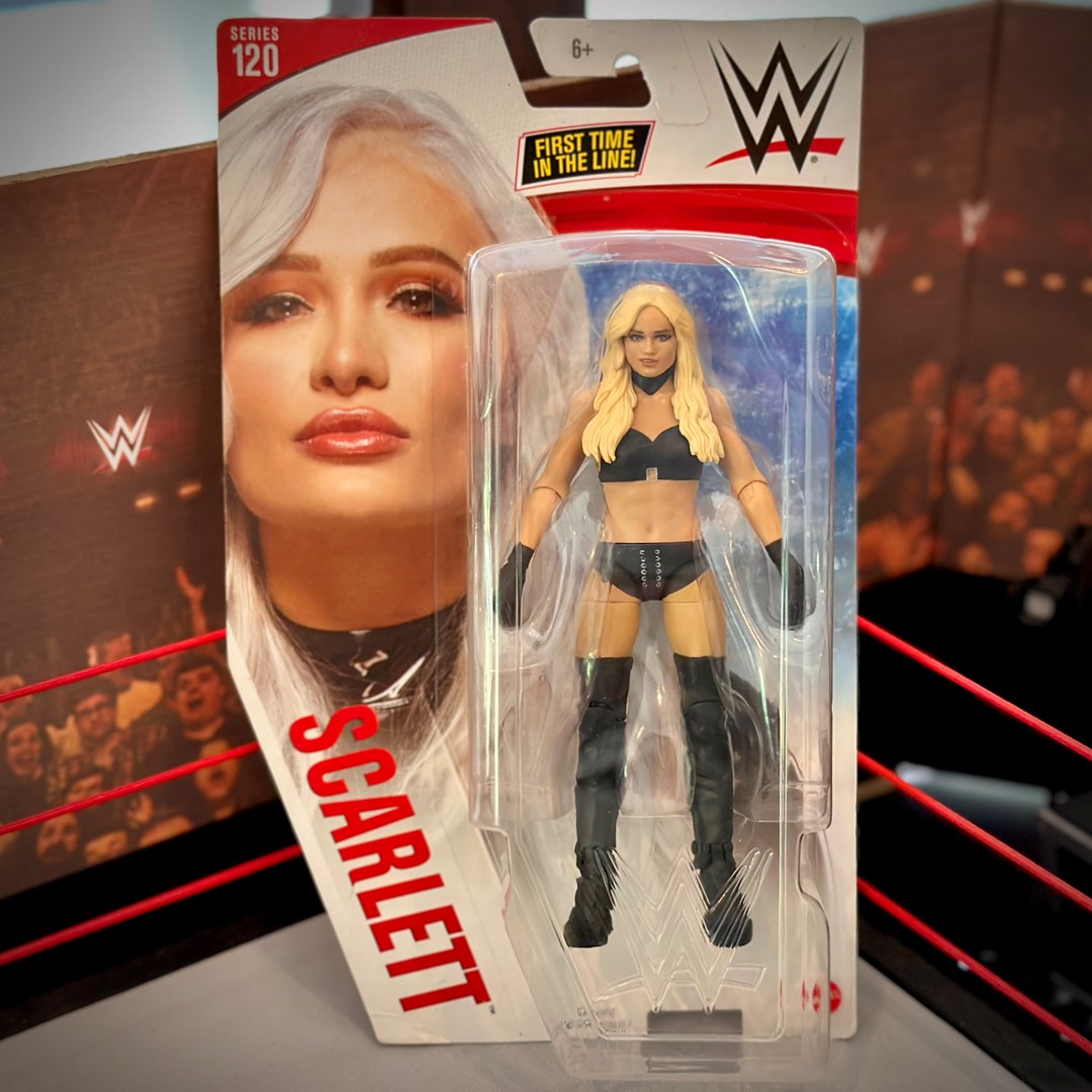 😱 WWE ACTION FIGURE TOY HUNT ❗❗❗
