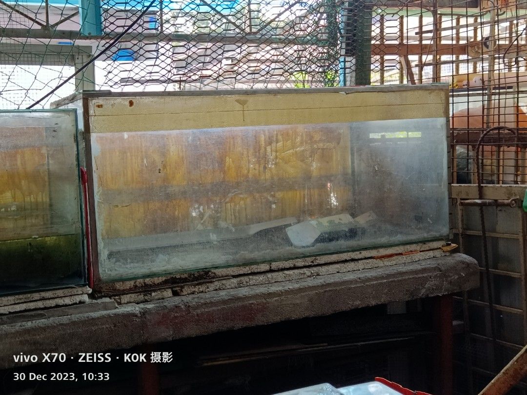 Naaz aquarium online