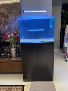 (Category: ) located in . Submitted by jz_shops (Listing ID 1275294149, Image 1). Description: .
