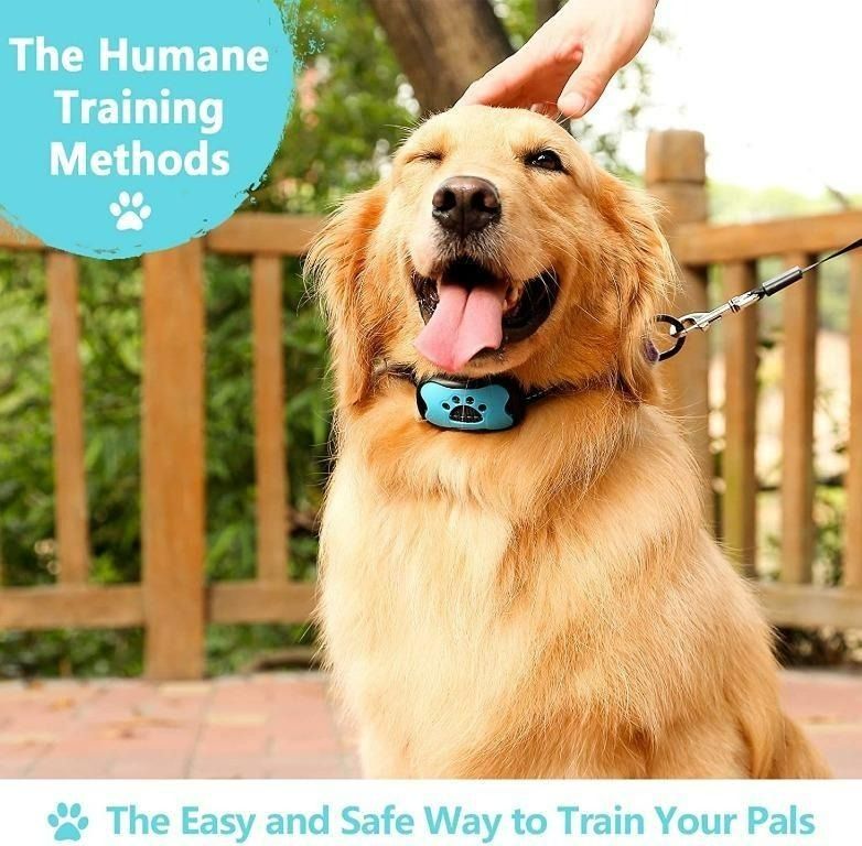 Gopetee anti bark collar 2025