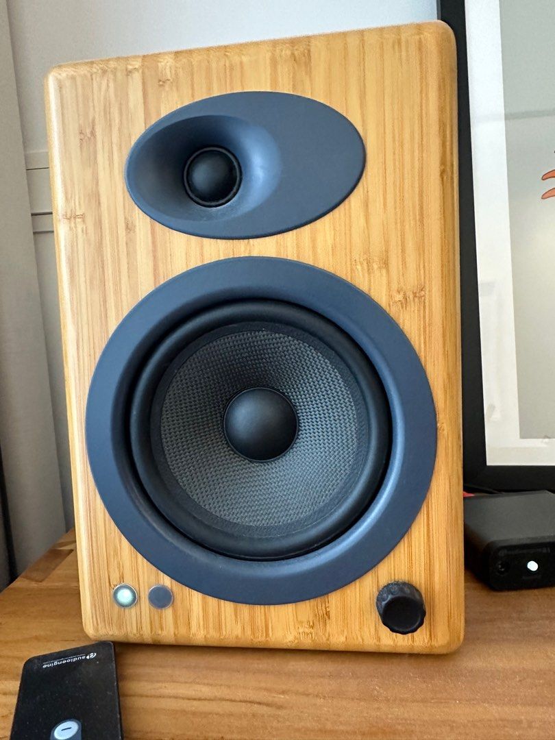 Audioengine a5 bamboo and Bluetooth receiver Audioengine b1