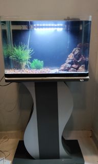 (Category: ) located in . Submitted by stanzilla (Listing ID 1275335546, Image 1). Description: .
