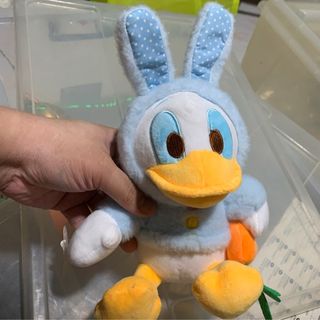 https://media.karousell.com/media/photos/products/2023/12/30/donald_duck_daisy_duck_soft_to_1703921911_e0cfa3cd_thumbnail.jpg