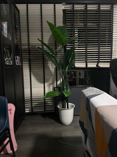 (Category: ) located in . Submitted by adlinshaf (Listing ID 1275358598, Image 1). Description: .