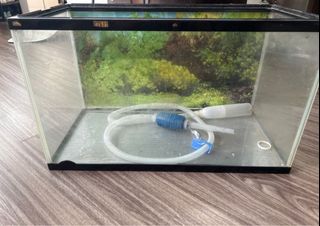 (Category: ) located in . Submitted by cocotna (Listing ID 1275220779, Image 1). Description: .