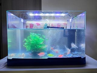 (Category: ) located in . Submitted by sgmummy (Listing ID 1275307460, Image 1). Description: .