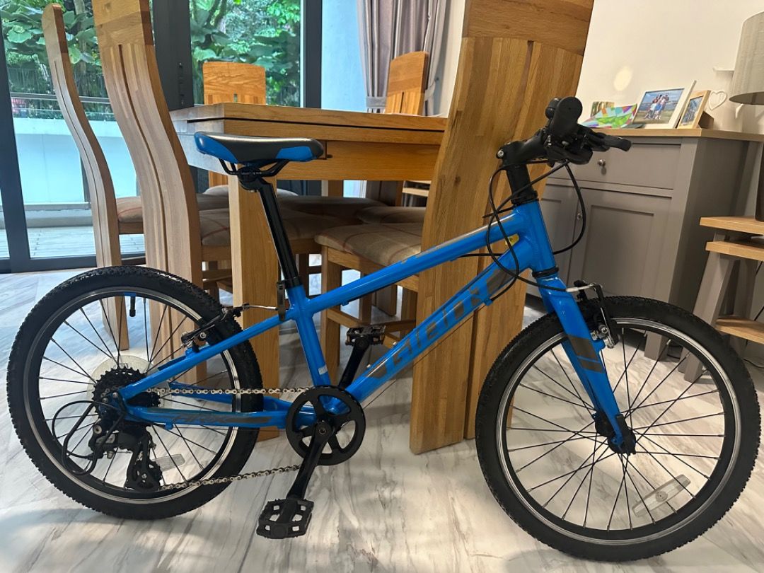 Giant ARX 24 kids bike Sports Equipment Bicycles Parts