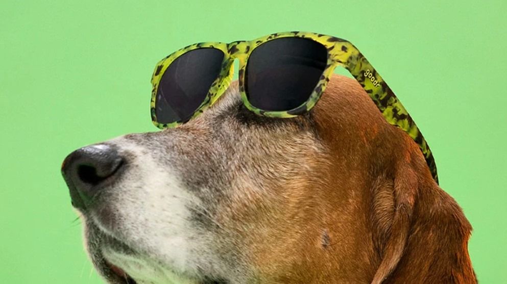 Moon dog sunglasses top