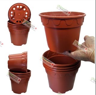 (Category: ) located in . Submitted by greengift (Listing ID 1275275613, Image 1). Description: .