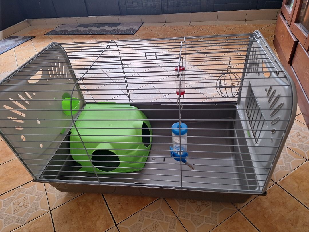 Cage for guinea pig for sale clearance