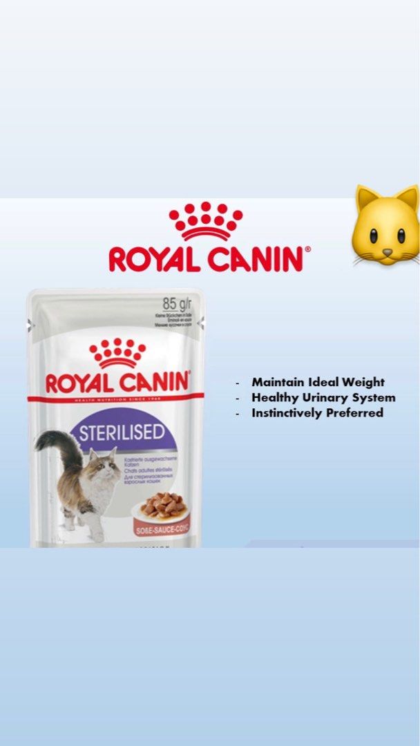 CHEAP ROYALCANIN WET FOOD Mix Pet Supplies Pet Food on Carousell