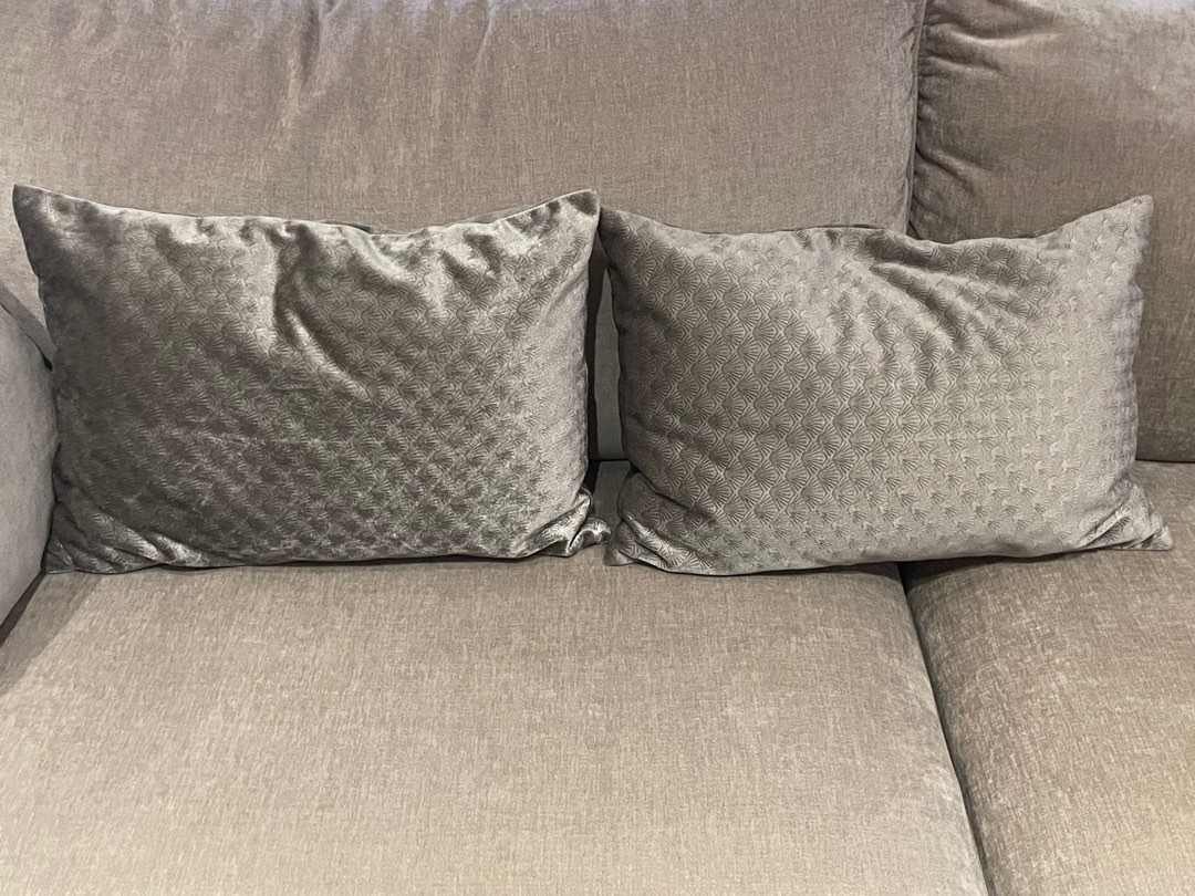 Silver Velvet Cushions Set Of Two