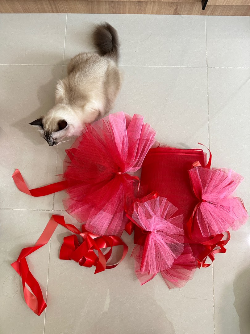 Wedding Car Ribbon (Cat not included), Hobbies & Toys, Stationery ...