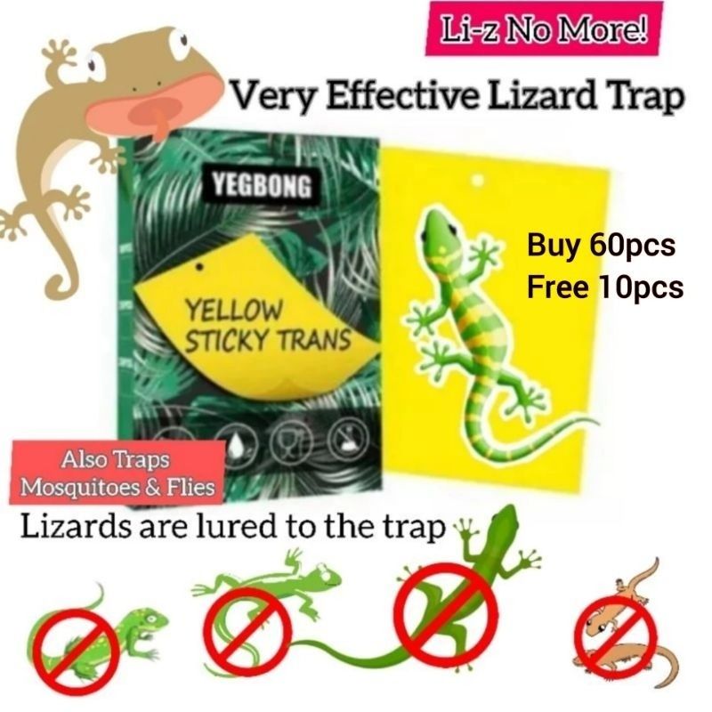 15pcs Very Good Quality Effective Insect Trap 2 Sided Waterproof Sticky Trap  for Flies Lizards Mosquito Killer, Furniture & Home Living, Cleaning &  Homecare Supplies, Pest Control on Carousell