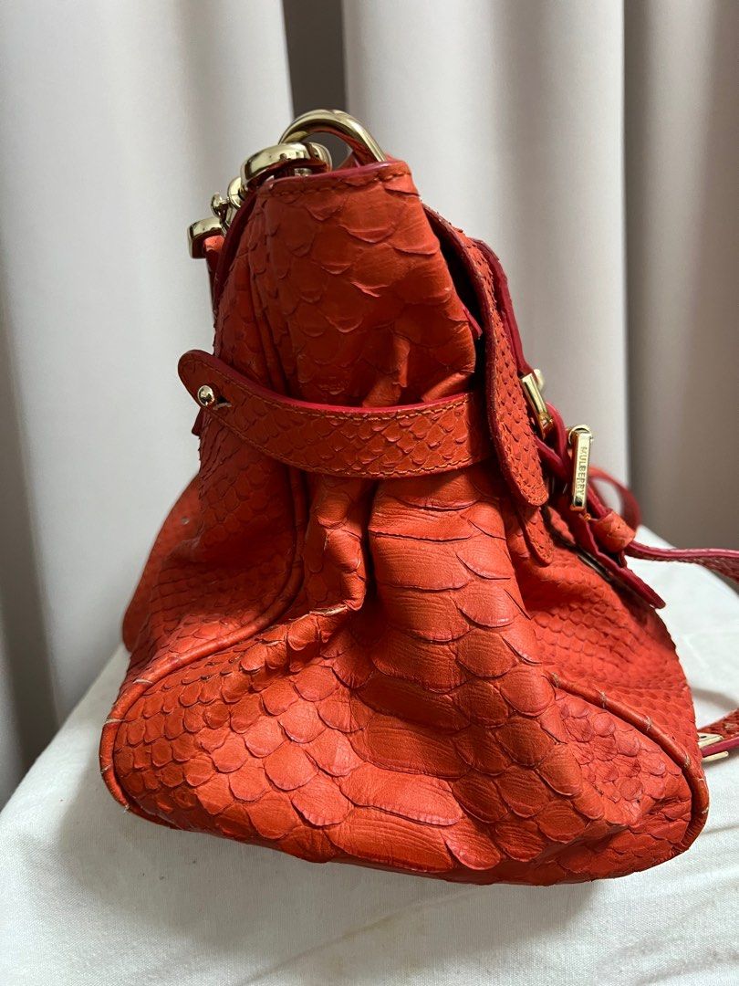 Mulberry snakeskin bag 2025