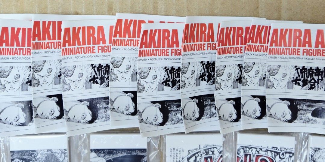 一部予約販売 akira art of wall 限定book - 本