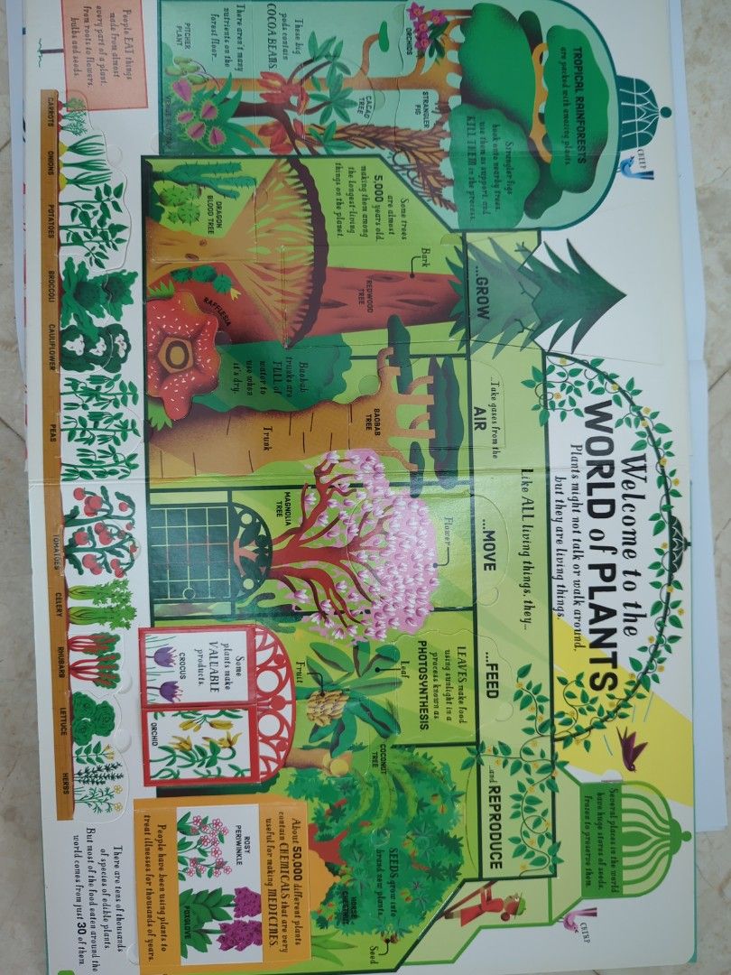 Biology Lift-the-flap book by Usborne, Hobbies & Toys, Books ...