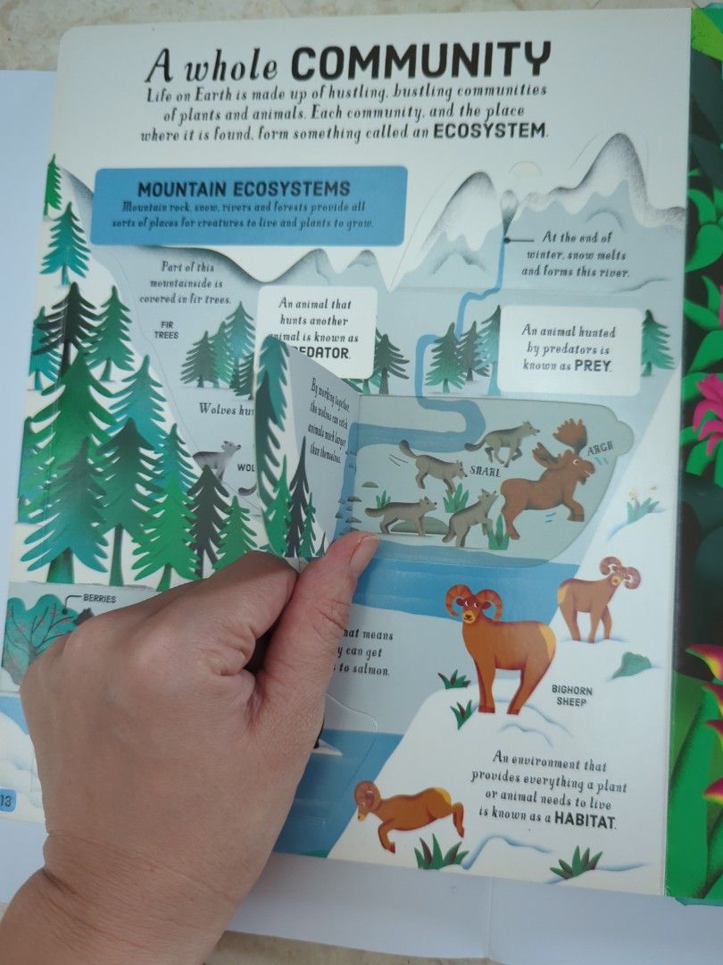 Biology Lift-the-flap book by Usborne, Hobbies & Toys, Books ...
